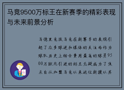 马竞9500万标王在新赛季的精彩表现与未来前景分析